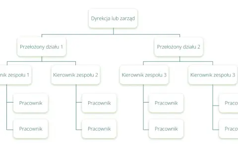 Schemat przedstawia strukturę organizacyjną firmy: Dyrekcja, Przełożeni działów, Kierownicy zespołów i Pracownicy.
