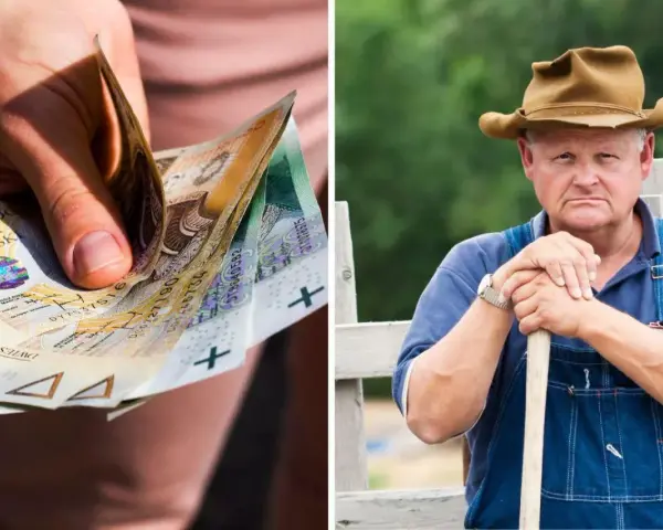 Renta z tytułu choroby zawodowej a emerytura: polskie banknoty w dłoni i zamyślony rolnik w ogrodniczkach.