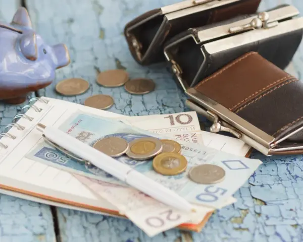 Świnka-skarbonka, portmonetki, pieniądze i notatnik. To wszystko sugeruje, że kuroniówka dla kogoś, kto oszczędza.